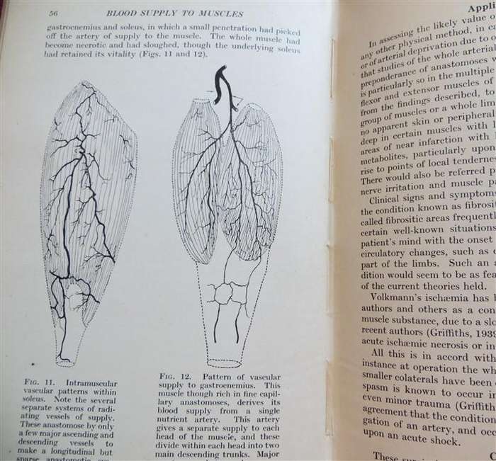 Recent Advances in Physical Medicine (1950) - Francis Bach