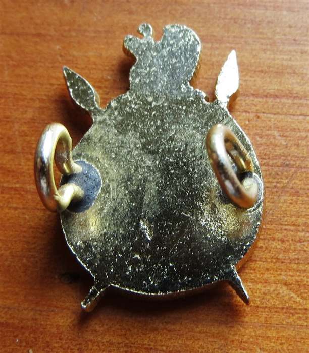 Small Rhodesia Intelligence Corps Badge