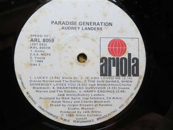 Audrey Landers - Paradise Generation  - Vintage Vinyl LP - VG