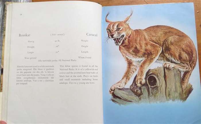 Mammals/Soogdiere of/van Kruger & other National Parks - Illustrations H.Kumpf - Well Used Copy