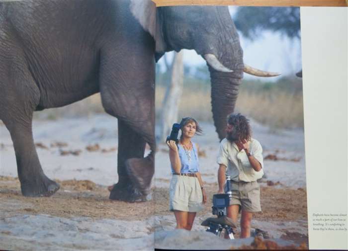 The Africa Diaries - Derek & Beverley Joubert - Illustrated Memoir