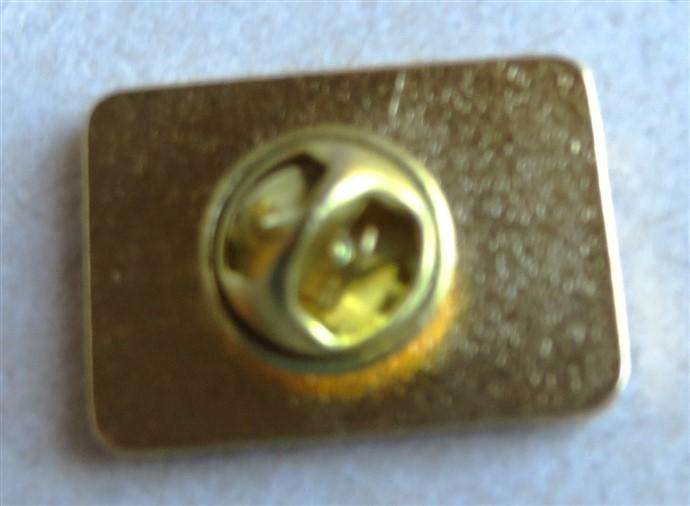 SA Rugby Pin Badge