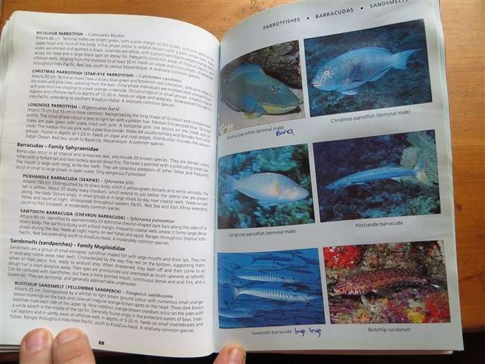 Reef Fishes & Nudibranches - Dennis King& Valda Fraser - Has got wet previously but all intact
