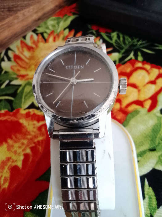 Citizen 17 jewels Brown dial