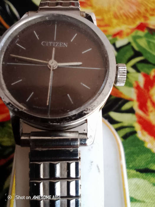 Citizen 17 jewels Brown dial