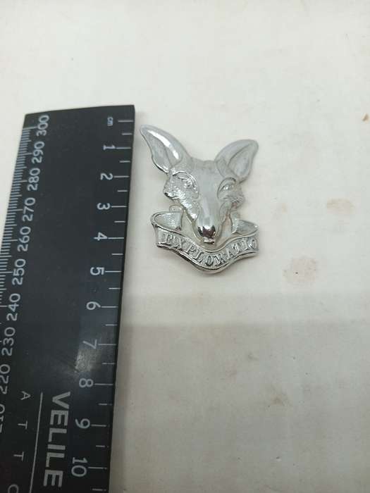 SADF Intelligence Beret Badge Pins intact .