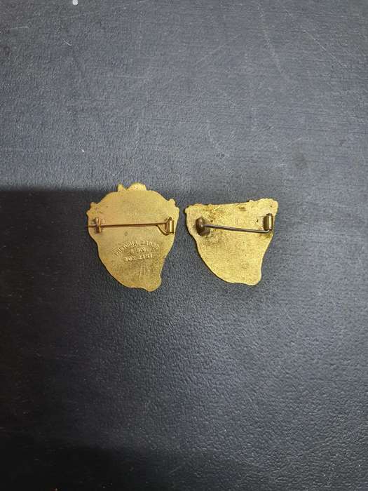 1961 South African Republic Day Pins