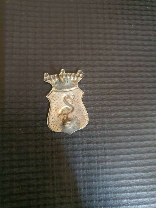 Netherlands Police Collar type Badge