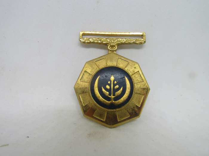 SADF Pro Patria Full size Medal (B)