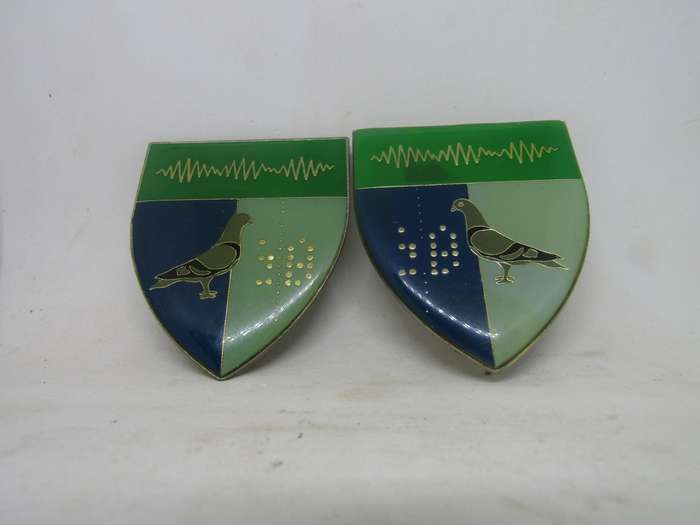 2  SADF 2 Signal Regiment Shoulder Flash Badge. Pin intact.