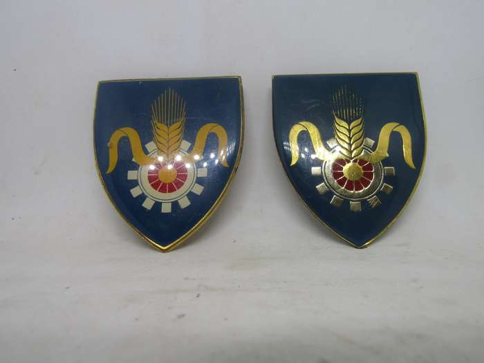 2 Types SADF Quartermaster  General Shoulder Flashes Badge. Pin intact.