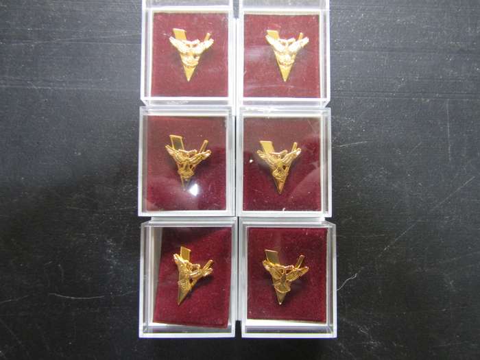 6 WW2 Victory Lapel Badges. Bid per badge