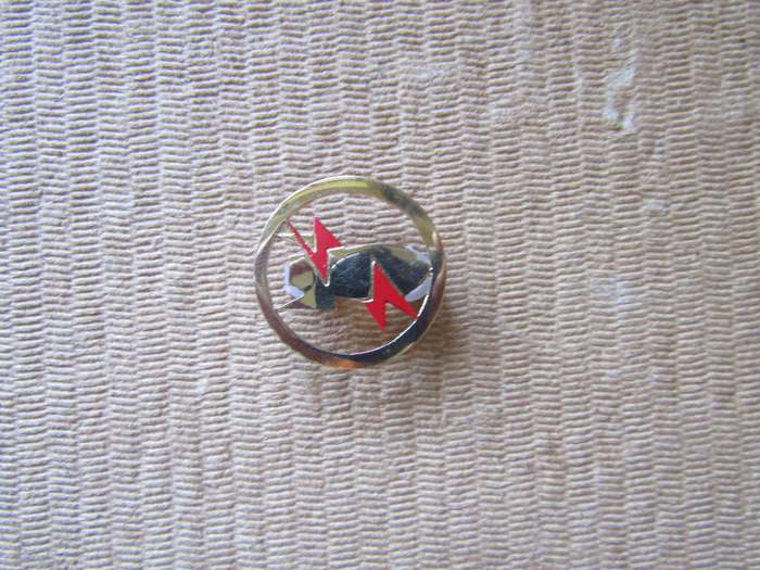 SADF Instructor Explosive Ordinance Disposal Proficiency Badge. Pins intact