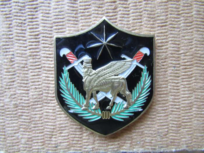 Multi National Force Iraq Challenge Coin. (H)