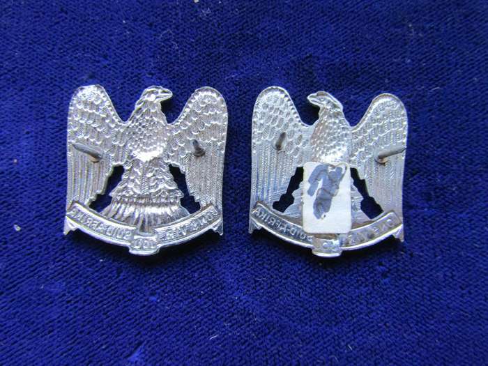 Pair of Regiment Louw Wepener Collar Badges. Pins intact.