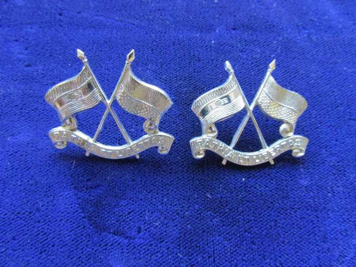 Pair of Imperial Light Horse Collar Badges. Pins intact.