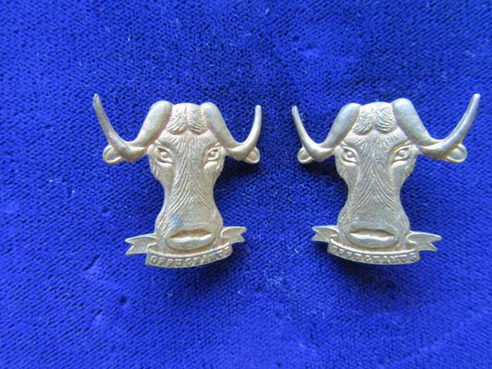 Pair of Regiment Port Natal Collar Badges. Pins intact.