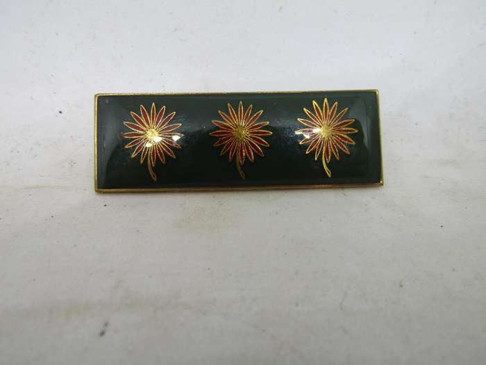 SADF Northen Transvaal Command Bar title.  Pin intact. 2 Available