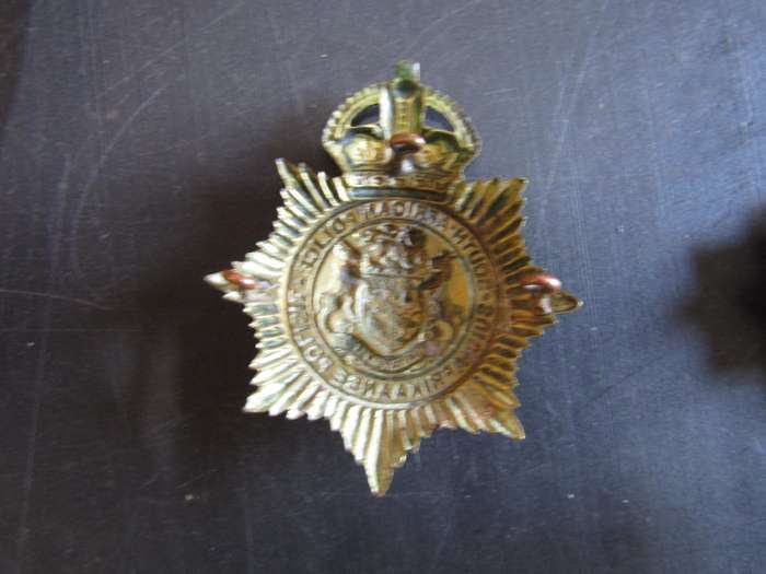 SAP Helmut Metal Badge 6cm across 8cm High