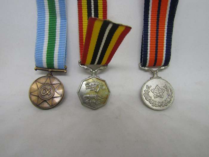 SADF SAM Unitas and General Service Miniature Medal (Blank)