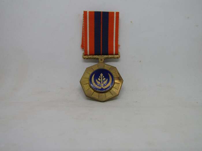 SADF Pro Patria Full size Medal (Bag B) Bid per medal