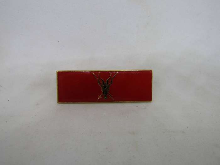 SADF Chief of the Army Command Bar