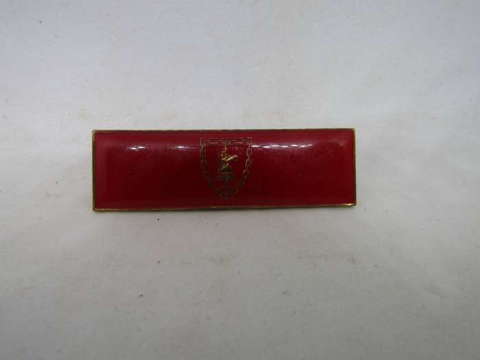 SADF SA Army Battle School Command Bar (2 Available )