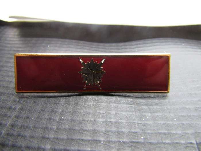 SADF Recce Command Bar (3 Available )