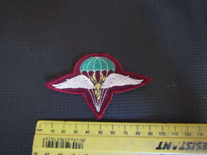 SADF 1 Parachute battalion beret badge (B)