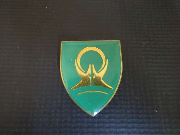 SWAFT Cadet Corps Pocket flash
