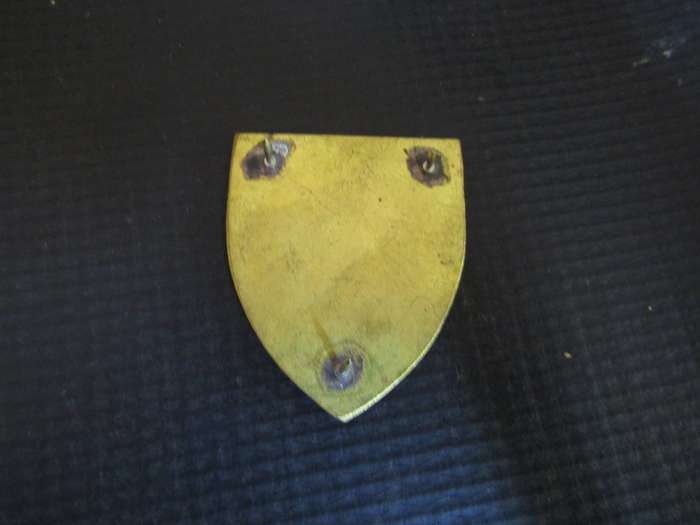 SWAFT Cadet Corps Pocket flash