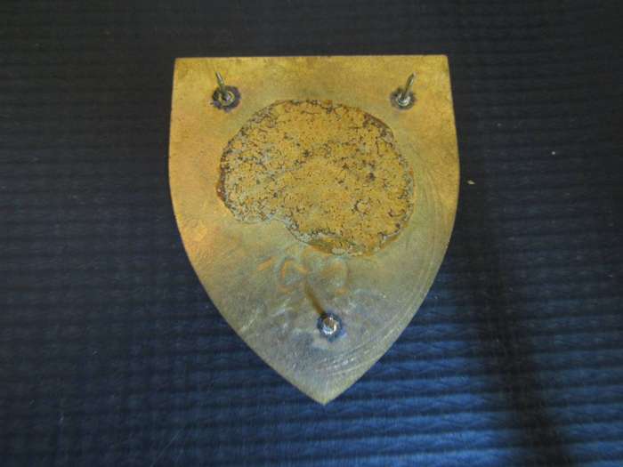 SADF Port Elizabeth Commando flash. Pin s intact