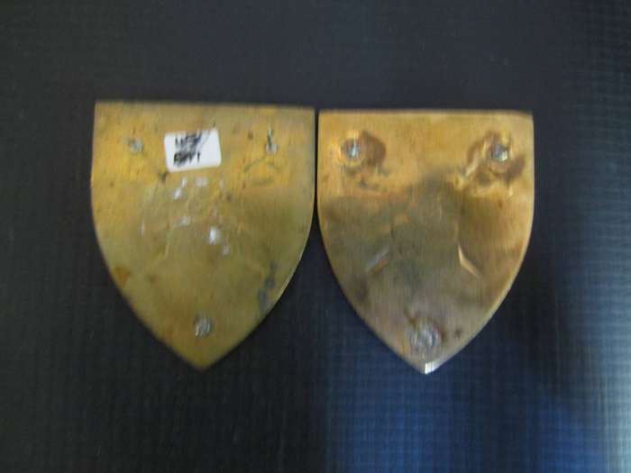 SADF Pair of 115 Battalion flash.  Pins intact