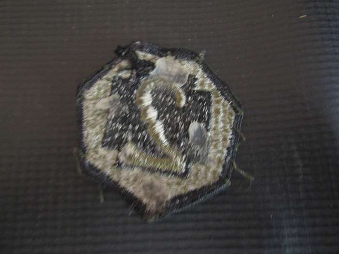 United States Army 7 medical Command