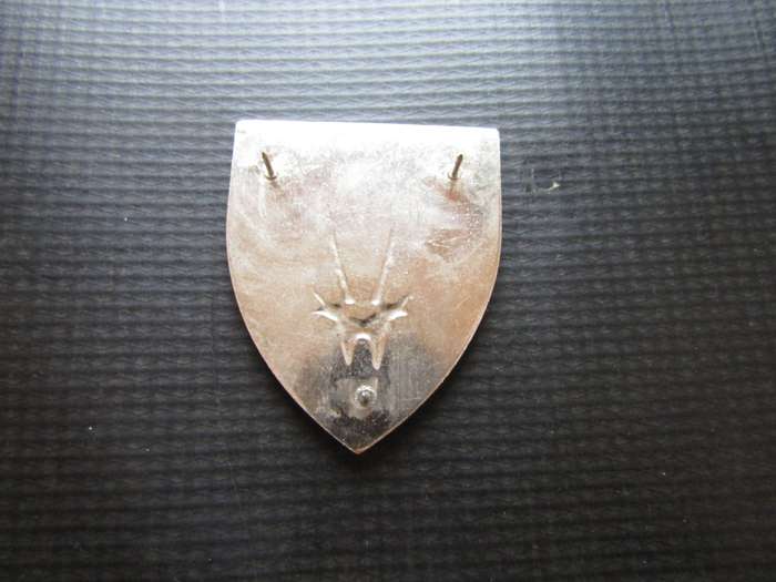 SADF 8th SA Infantry Battalion Shoulder flash. Pins intact