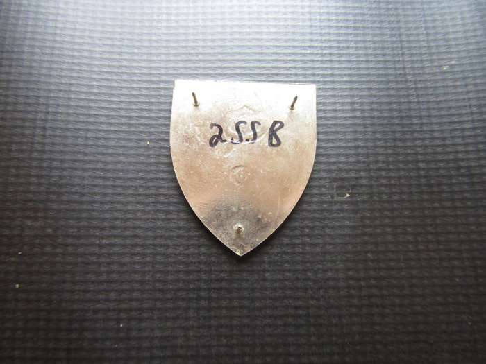 SADF 2 SSB Shoulder flash. Pins intact