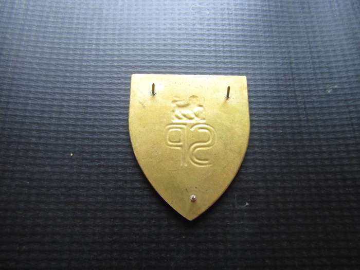 SADF State President Guard Shoulder flash. Pins intact