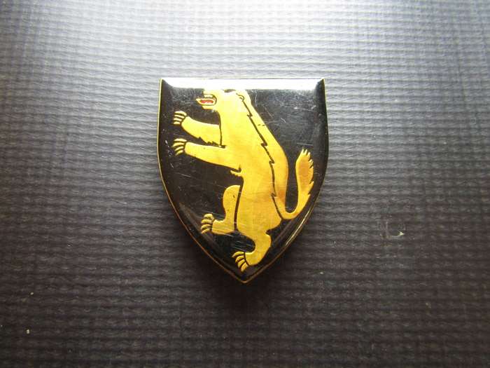 SADF 1st SA Infantry Battalion Shoulder flash. Pins intact