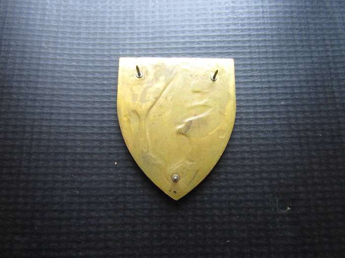SADF 1st SA Infantry Battalion Shoulder flash. Pins intact