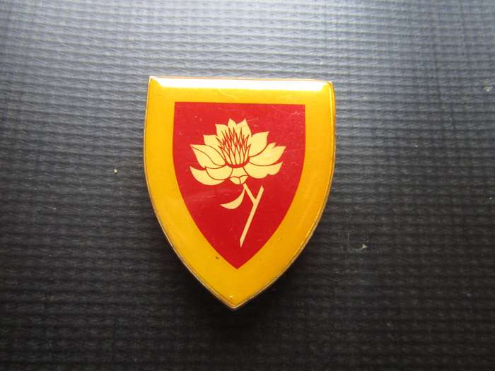 SADF Women's College George Shoulder flash. Pins intact