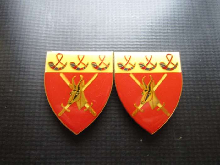 SADF Pair of Free State Command Shoulder flash.  Pins intact