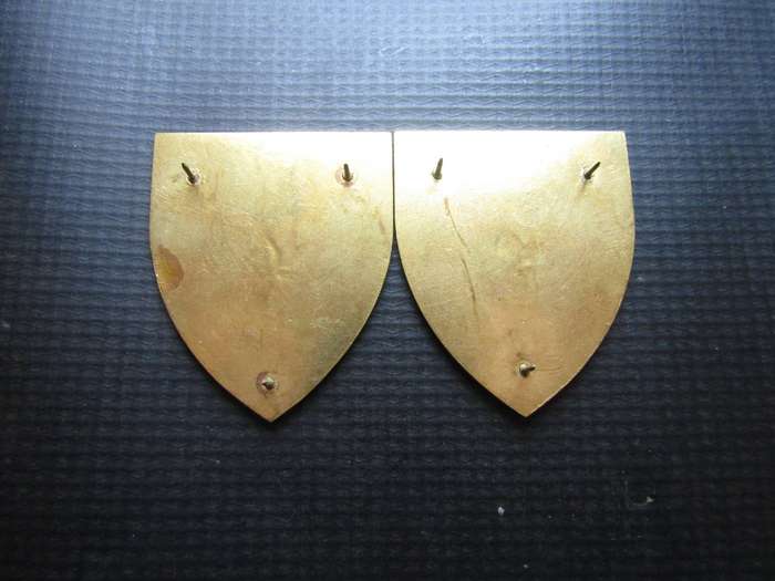 SADF Pair of Free State Command Shoulder flash.  Pins intact