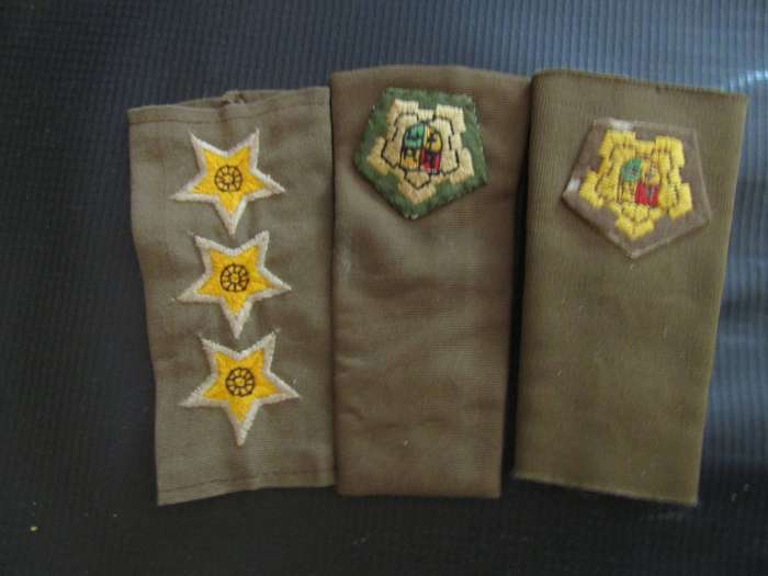 SADF Nutria Ranks. Buy now for all 3