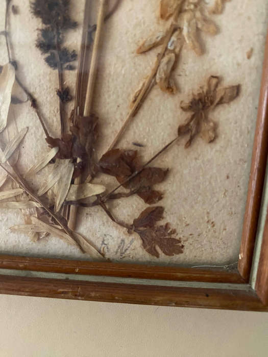 Vintage Dried Flower Art x4
