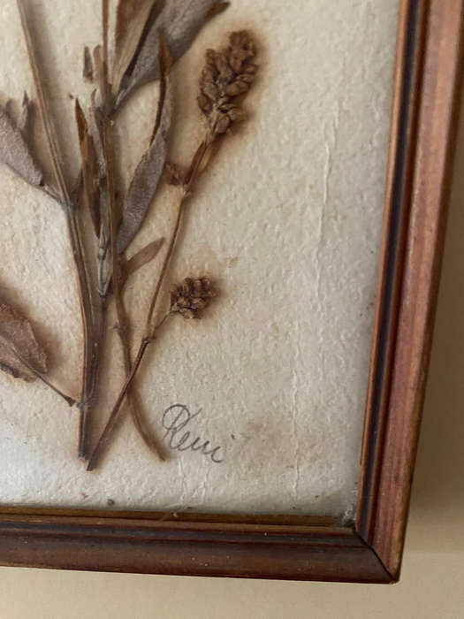 Vintage Dried Flower Art x4