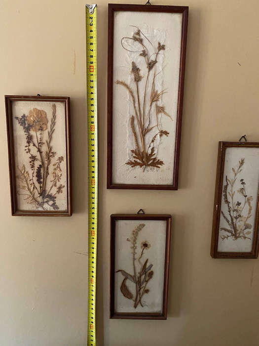 Vintage Dried Flower Art x4