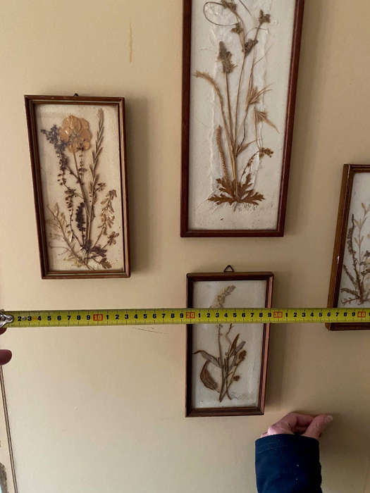 Vintage Dried Flower Art x4