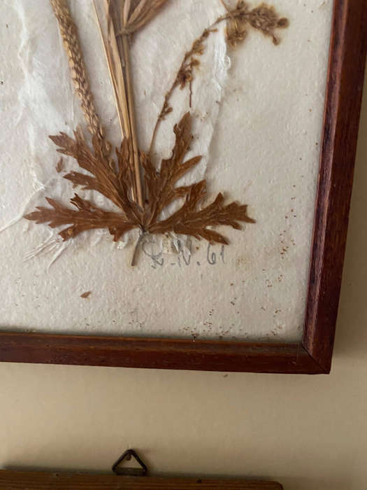 Vintage Dried Flower Art x4