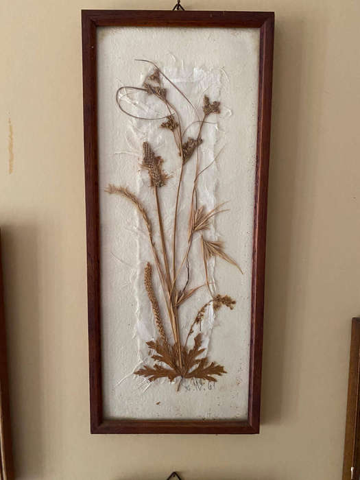 Vintage Dried Flower Art x4