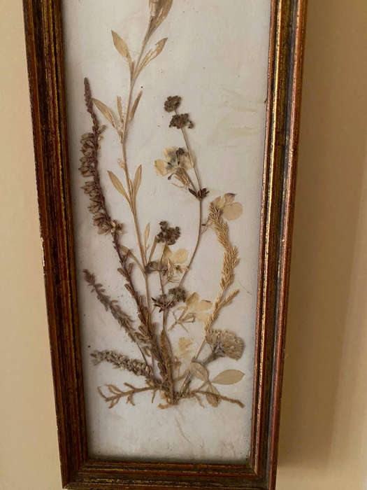 Vintage Dried Flower Art x4